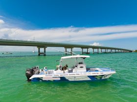 A sleek speedboat navigates through clear turquoise waters beneath a bridge, showcasing the perfect setting for sunset cruises and fishing adventures.