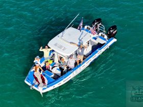A lively group aboard a fishing boat waves and enjoys the sun, showcasing the fun of a day on the water with family and friends.