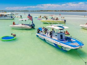 A lively scene at a sandbar with guests enjoying various water activities, including swimming and snorkeling, surrounded by multiple boats under the sun.