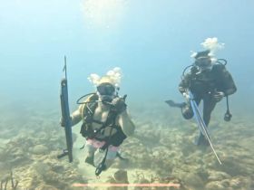 Two divers explore the vibrant underwater world, showcasing the thrill of diving adventures in crystal-clear waters.