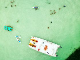 A vibrant aerial view captures a lively sandbar scene with guests enjoying paddleboarding and swimming around a pontoon boat, showcasing the ultimate fun in crystal-clear waters.