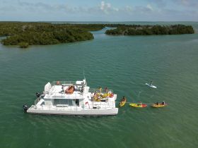 A vibrant group enjoys kayaking and paddleboarding around a scenic area, with a spacious boat serving as a backdrop — perfect for adventure seekers and water enthusiasts.