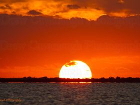 Florida Sunrise