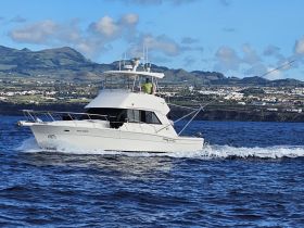 A sleek yacht named 'Punta Europa' cruises through the water, showcasing its fishing capabilities against a picturesque backdrop of hills and coastal scenery.