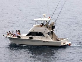 Charter Image
