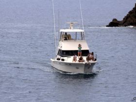 Charter Image