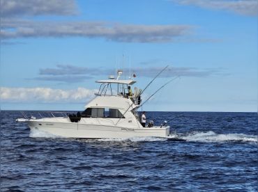 Trilhos da Natureza – Exclusive Yacht Charter