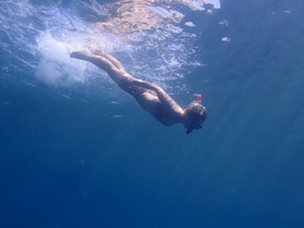 A snorkeler dives gracefully into the deep blue waters, showcasing the thrill of underwater exploration — perfect for adventure seekers and marine life enthusiasts.