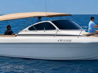 Dolphin Watching Boat Tour for Small Groups