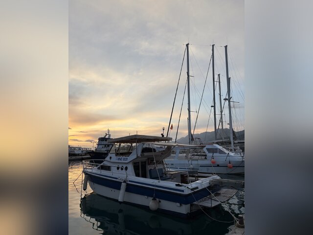 Listing image 1090495