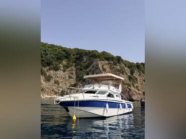 Catarina