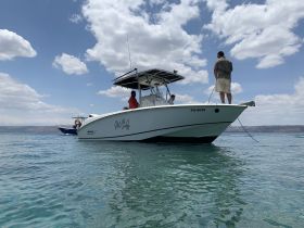 A group of people aboard a boat enjoy a sunny day on the water, showcasing the perfect setting for aquatic adventures.