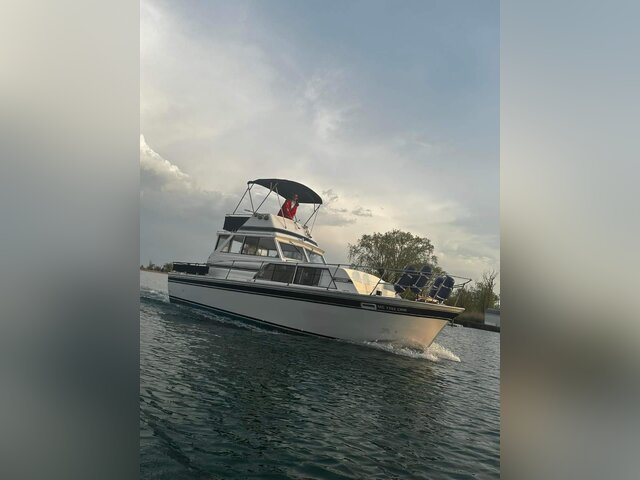 Listing image 1101879
