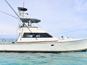 A sleek yacht is captured from the side, showcasing its elegant design as it navigates through clear waters, perfect for fishing or leisure outings.