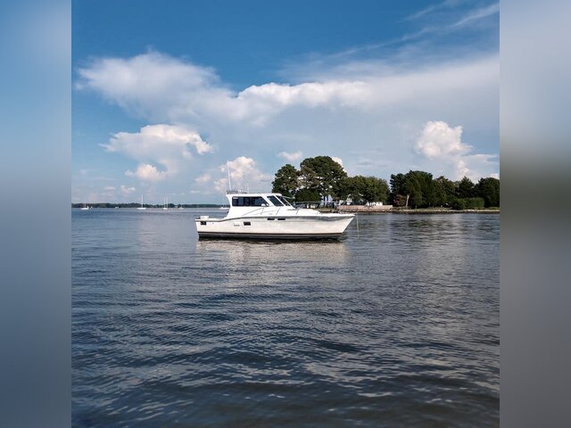 Listing image 1095057