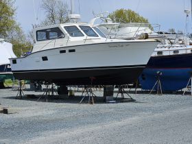 A well-maintained boat named 'Screaming Eagle' is docked on stands, showcasing its sleek design and structure in a marina setting.