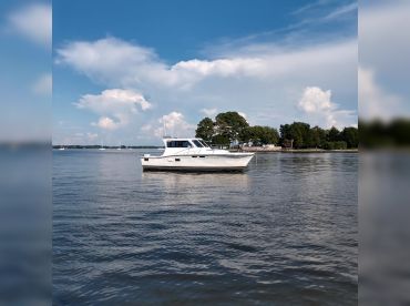 Screaming Eagle Charters
