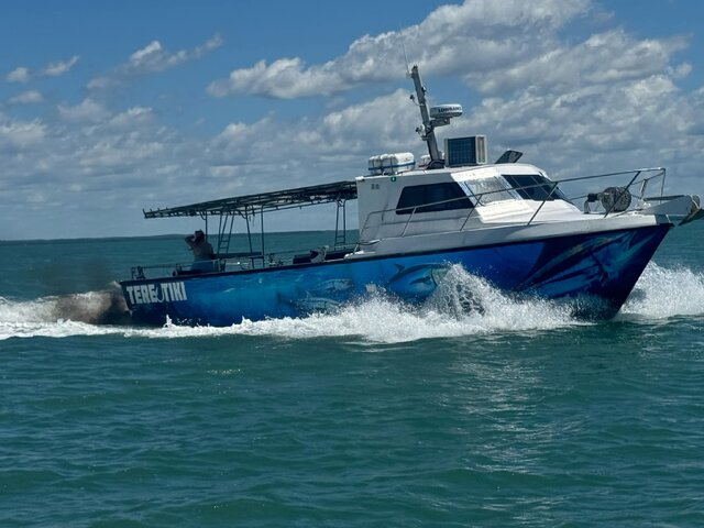 Listing image 1091016