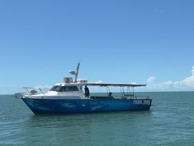 A sleek speedboat named 'Tere Tiki' glides through calm waters under a clear blue sky, showcasing its vibrant design and inviting atmosphere for adventure on the sea.