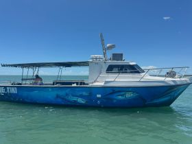 A striking side view of the boat 'Reutiki' cruising through clear waters, showcasing its vibrant design and structure against a beautiful blue sky.
