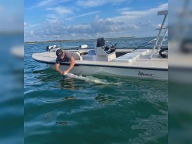 A fisherman interacts with a shark while on a Maverick boat, showcasing an exciting wildlife encounter in the open water.