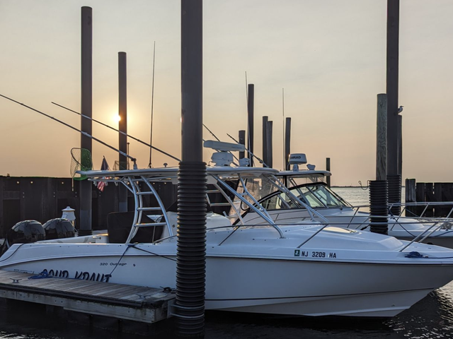Listing image 1091113