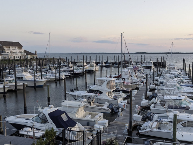 Listing image 1091114