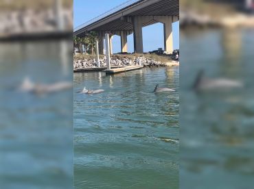 Gulf Island Charters – Family/Kids B-2