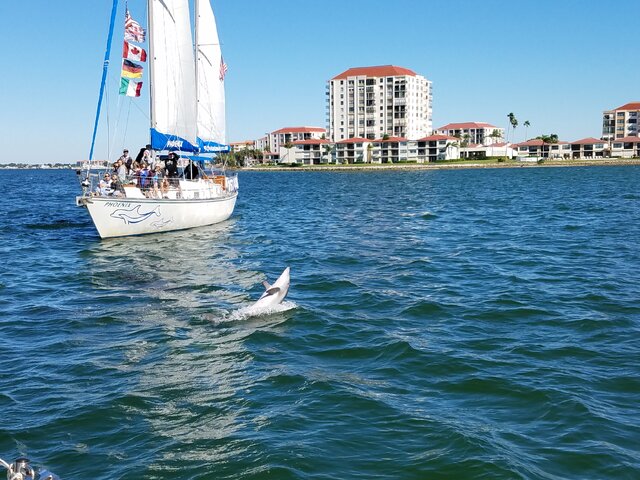 Listing image 1091323