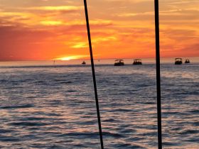 A stunning sunset over the ocean with several boats silhouetted against the vibrant sky, creating a picturesque scene perfect for evening cruises.