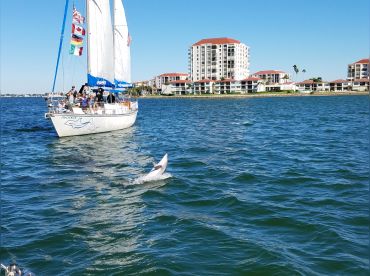 Dolphin Landings Charter Boats – Phoenix
