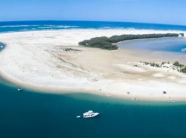 Gold Coast Eco Tours