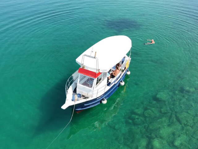Listing image 1091581