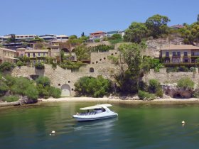 A scenic view of a boat cruising along a tranquil shoreline, surrounded by lush greenery and elegant homes — perfect for exploring coastal destinations.