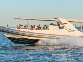 A lively group enjoys a thrilling ride on a charter boat, capturing the excitement of their adventure on the water.