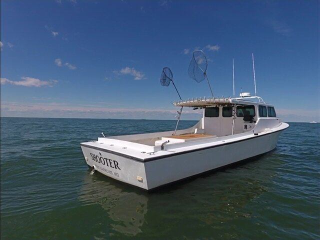 Listing image 1091700