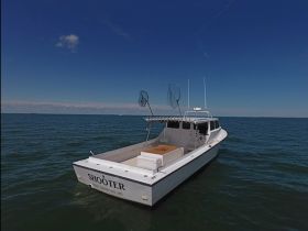 Charter Image