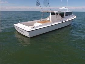 Charter Image