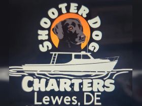 Logo for Shooter Dog Charters in Lewes, DE, featuring a black dog and a boat illustration — ideal for fishing and boating enthusiasts.