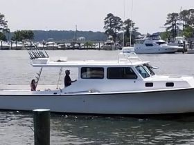 Charter Image