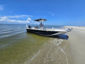 A sleek speedboat is docked on a sandy shore under a clear blue sky, perfect for fishing or leisurely outings on the water.