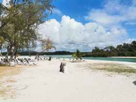 A scenic view of a beach area with lounge chairs and trees, capturing a tranquil atmosphere, but the focus is unclear.