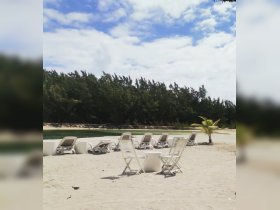 A serene beach scene featuring lounge chairs and a palm tree, perfect for relaxation. The image lacks clarity, making it difficult to identify specific details.