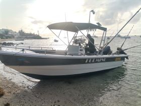 A fishing boat named 'FULMINE' is docked near the shore, with a person preparing equipment on board, showcasing a serene coastal scene.