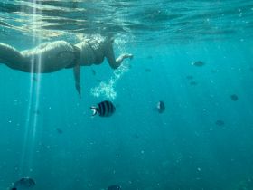 A swimmer explores vibrant underwater life while snorkeling, surrounded by colorful fish in crystal-clear waters — a perfect adventure for marine enthusiasts.