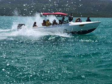 MUTT Tours – Dolphin Trip