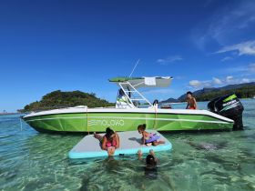 A joyful scene of children playing on a floating mat and swimming near a boat, capturing the essence of fun-filled family moments on the water.