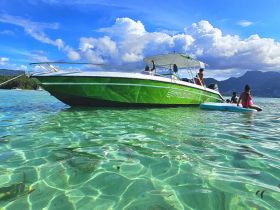 A lively scene with a group enjoying the clear waters around a boat, perfect for family fun and water activities.