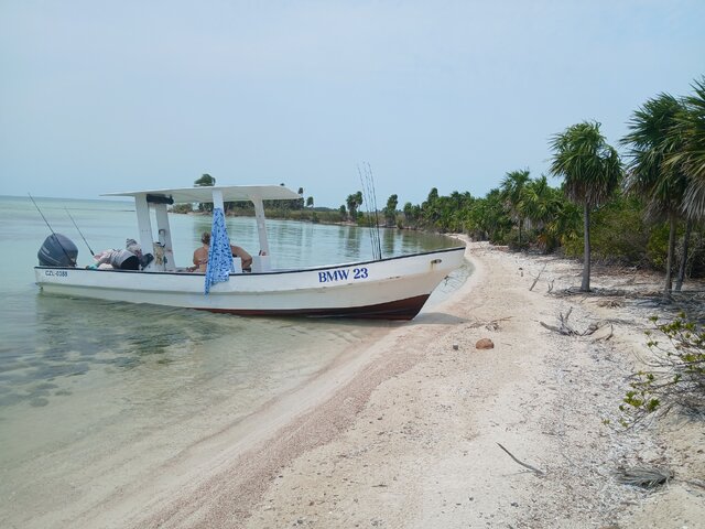 Listing image 1092106