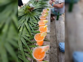A vibrant display of tropical cocktails garnished with fresh fruit, perfect for enjoying a refreshing drink during a beach day or boat trip.